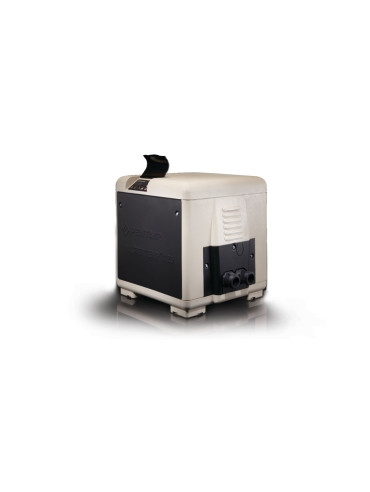 Mastertemp 125k Gas Pool Heater
